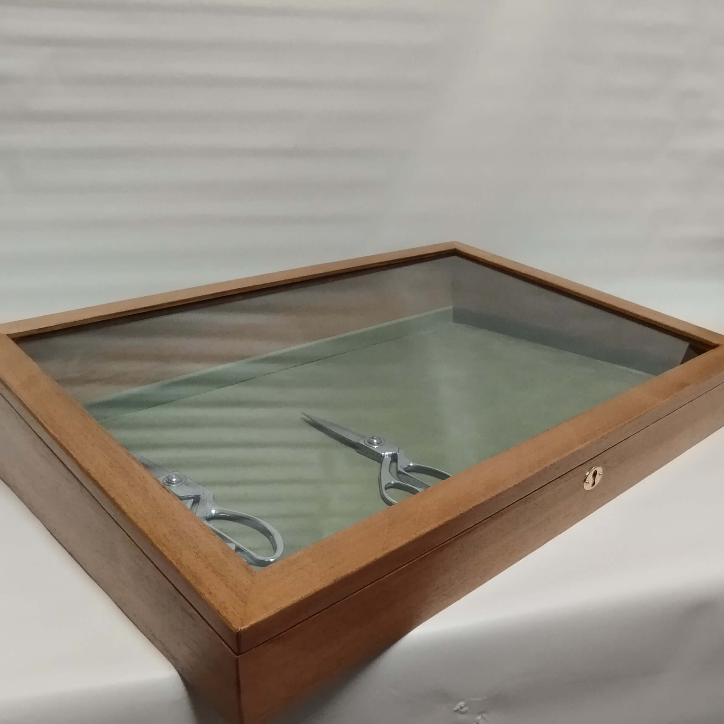 Teca vetrina espositore in legno per collezionismo espositore per monete -  Coins&More